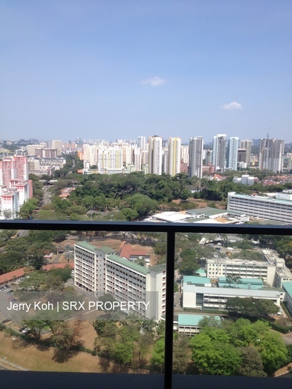 Spottiswoode Residences (D2), Condominium #178602082
